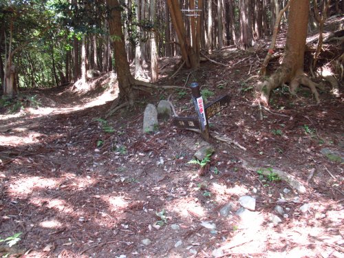 登山道